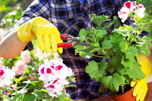 Person using a website about Landscapers Plumstead with cookie settings visible