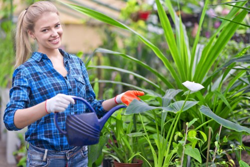 Illustration indicating accessible landscaping services in Plumstead