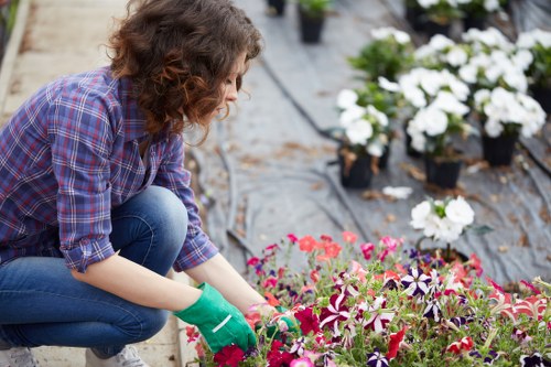 Landscaping waste sorted for recycling in Plumstead