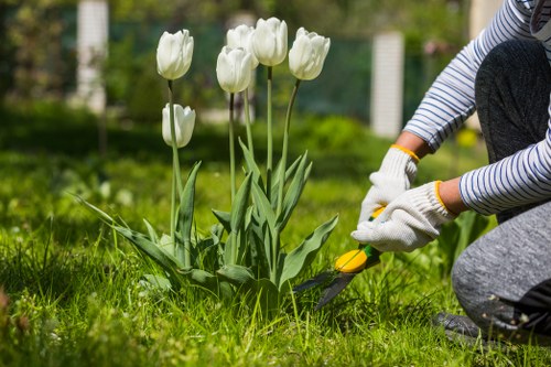 Professional lawn treatment and lawn care in Plumstead