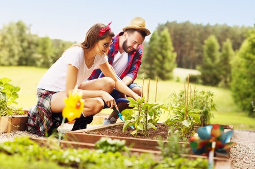 Sustainable landscape gardening in Plumstead with pollinator-friendly plants