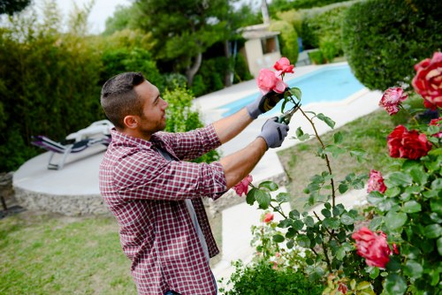 Landscapers preparing equipment and waste for a safe outdoor clearance job