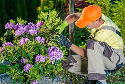 Eco-friendly rubbish disposal and reuse for landscaping materials