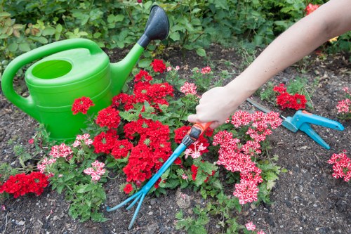 Landscaping complaint review in progress