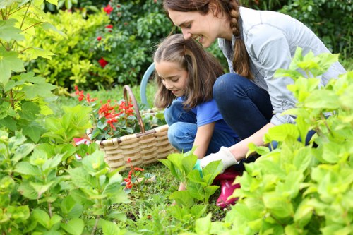 Healthy lawn care and border upkeep in a Plumstead garden