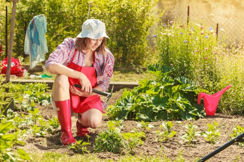 Seasonal maintenance for a flower bed in Plumstead