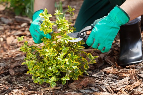 Hard landscaping elements in a garden renovation in Plumstead