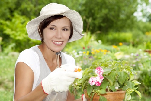 Inclusive digital access for Landscapers Plumstead website