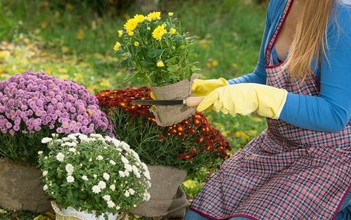 Safe and flexible payment options for Landscapers Plumstead