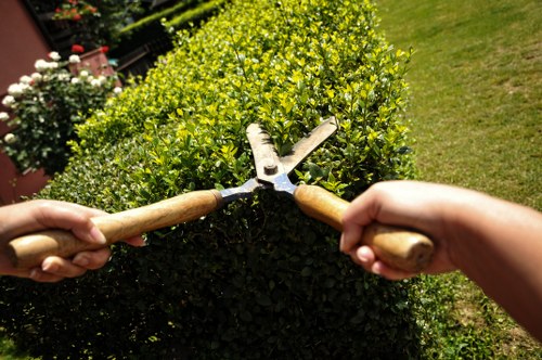 Selecting the right shed type for a Plumstead property