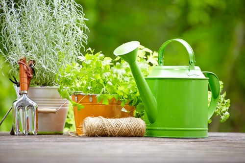Sustainable landscaping features in a Plumstead outdoor space