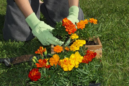 Seasonal hedge cutting in a residential Plumstead garden