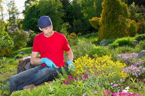 Keyboard navigation focus across a landscaping website