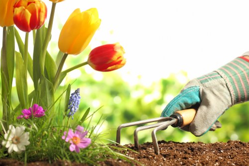 Website performance and cookie management concept for Landscapers Plumstead