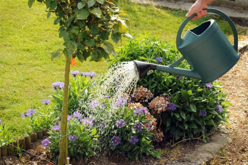 Landscape planting design for a residential property in Plumstead
