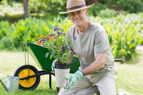 Colorful shrubs and perennials installed by planting services in Plumstead