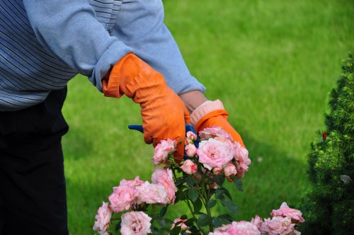 Free quote policy for garden waste and man and van services in Plumstead
