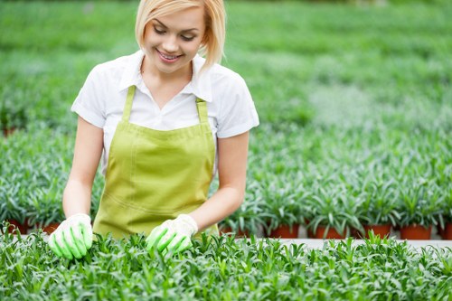 Safe tree lopping and removal service in Plumstead