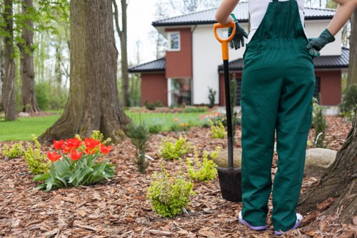 Seasonal lawn maintenance in Plumstead for greener outdoor spaces