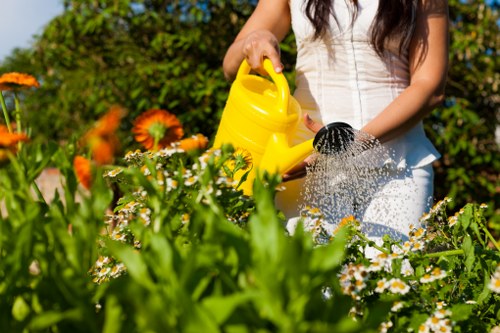 Professional garden planning for a Plumstead outdoor space