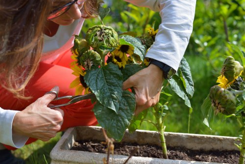 Planning a landscaping project in Plumstead with garden layout concepts